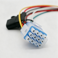 Ensemble de faisceaux de câbles personnalisés avec connecteur mâle bleu-blanc et porte-fusible pour le câblage des appareils ménagers et des équipements industriels