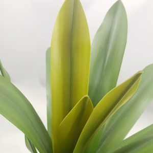 Plantes en <span class=keywords><strong>pot</strong></span> à feuilles plates Plante verte artificielle Salon Bonsaï Ornements Paysages Plantes en <span class=keywords><strong>pot</strong></span> à feuilles plates artificielles - Product Image 2