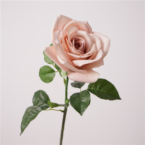 C-071 Vente en gros <span class=keywords><strong>de</strong></span> roses artificielles en latex bleu et rose poussiéreux au toucher réel pour la décoration <span class=keywords><strong>de</strong></span> <span class=keywords><strong>mariage</strong></span> et <span class=keywords><strong>de</strong></span> la maison, centres <span class=keywords><strong>de</strong></span> <span class=keywords><strong>table</strong></span> chics en forme <span class=keywords><strong>de</strong></span> rose - Product Image 5