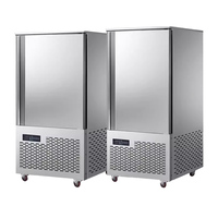 Congélateur horizontal à plaque profonde Thermocool à économie d'énergie, congélation rapide, vertical, commercial, en acier inoxydable, compresseur Copeland