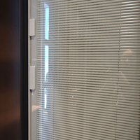 Porte en verre double de l'entrée principale en acier personnalisée avec stores et porte de sécurité