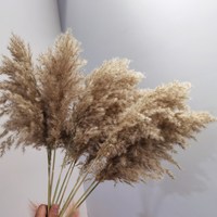 Ins buket bunga 5 buah bunga Pampas kering buket pengantin hadiah pernikahan mewah liar rumput Pampas
