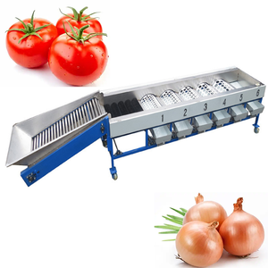 Máquina clasificadora y limpiadora de tomates de buen rendimiento, máquina clasificadora de tomates pequeños - Product Image 4