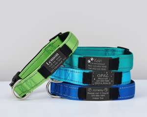 Collar reflectante de color verde azulado para perro, correa personalizada, collar ajustable para gato con cinta personalizada, placa de metal grabada, campana gratuita, diseño único - Product Image 2