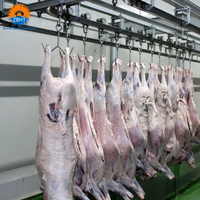 Rail de convoyeur aérien à double rail haute capacité pour le transport de carcasses de bœuf, de porc et de chèvre en abattoir