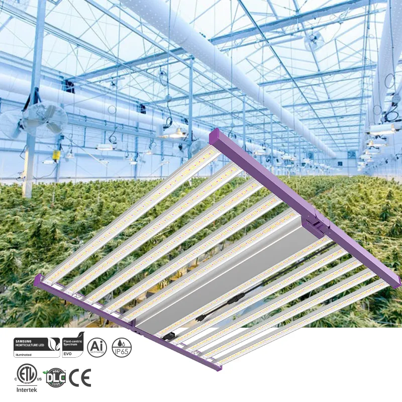 Kabency New Arrive Dimmable Rj14 Groups Control 3.0Umol Full Spectrum 600W Led Grow Light Bar Samsung For Horticulture