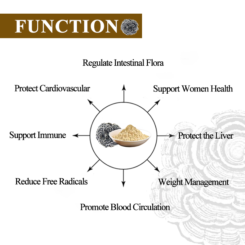 dried mushroom powder