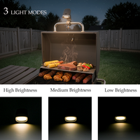 Lampes LED rechargeables pour barbecue d'extérieur, fixation par clip en plastique, rotation à 360 degrés, détachables, pour camping, cyclisme, pêche, barbecue portable