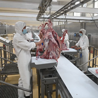 Ligne de convoyage industrielle intelligente pour abattoir avec suivi des données et traitement automatisé