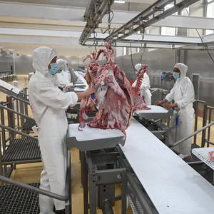 Ligne de convoyage industrielle intelligente pour abattoir avec suivi des données et traitement automatisé - Product Image 4