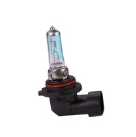 White Auto Lightingwatt 55W/100W Light 9006 Halogen Light Headlight Light Bulbs