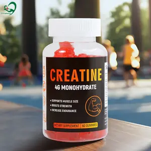 hot selling Creatine Gummy Immune Booster Supplement Sports Gym Gummie creatine monohydrate gummies