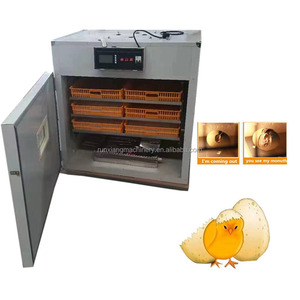 Máy Ấp Trứng Gà Chim Cút Điều Khiển Độ Ẩm Amd Nhiệt Độ Máy Ấp Trứng Tự Động - Product Image 4