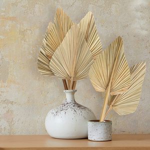 Feuilles de palmier naturelles préservées HFlora, très demandées, avec <span class=keywords><strong>eucalyptus</strong></span> et pétales de rose, écologiques, toucher réel, pour la <span class=keywords><strong>d</strong></span>écoration de la maison et de mariage - Product Image 2