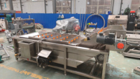DZJX Volledig Automatische Multifunctionele Wortelgroente Reinigingsmachine voor Maïs/Noten Radijs/Rambutan/Surfing