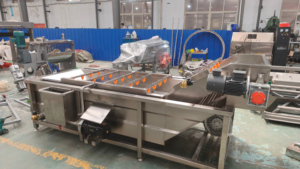 เครื่องทำความสะอาดผักหัวโตแบบอัตโนมัติเต็มรูปแบบ DZJX สำหรับหัวไชเท้า/รัมบูตัน/ผลไม้ทะเล/ซีบัคธอร์น สำหรับการค้า - Product Image 5