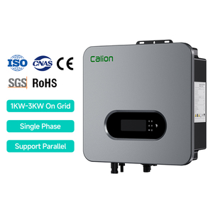 Calion Système Solaire Monophasé Hors Réseau Double 1kW 24V 48V Onde Sinusoïdale Pure Conception Hybride Contrôleur MPPT Inclus 97,5% IP66 - Product Image 1
