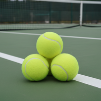 Balles de tennis d'entraînement professionnelles en gros, pressurisées, durables, haute élasticité, écologiques et portables