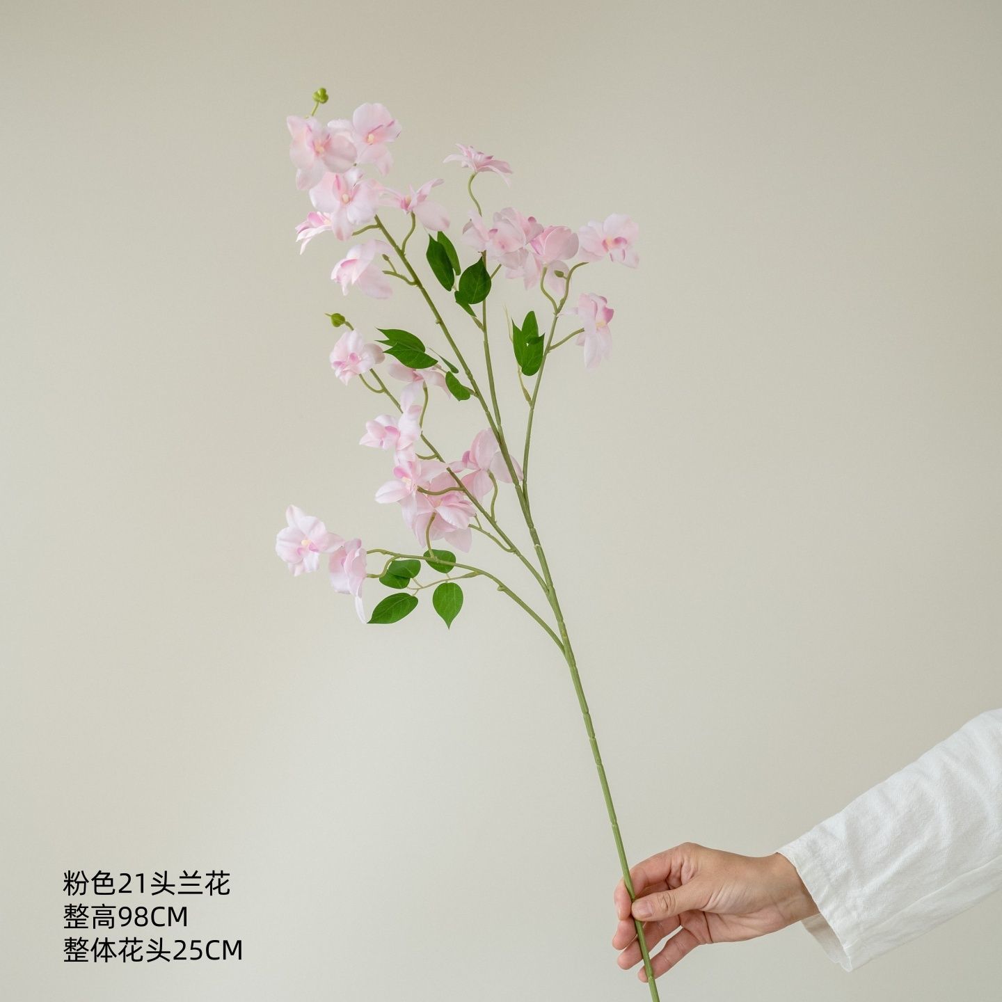 21 orchidées roses