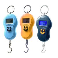 Balance de bagage numérique portable de 50kg avec batterie pour valises et sacs