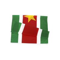 Expédition rapide, prêt à être expédié, 100% polyester, 3x5 pieds, drapeau du Suriname de haute qualité, drapeau de tous les pays