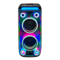 Altavoz de Torre Vertical Transparente de 60W con Bluetooth, Luces RGB Fluidas, Altavoz de Karaoke, Micrófonos Inalámbricos Dobles, Control Remoto, Adaptador de 13.5V 1.5A