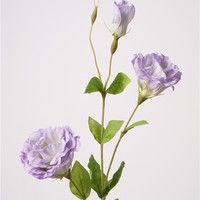 Fleurs artificielles Eustoma Lisianthus au toucher réel, fleurs de campanule hydratantes, fleurs artificielles de gentiane de prairie pour la décoration d'événements