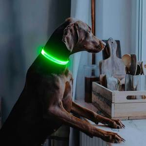 LED <b>Dog</b> Collar, <b>Light</b> Up <b>Dog</b> Collar Rechargeable Glow in Dark Pet Collar - Product Image 2