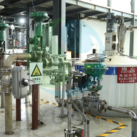 Ligne de production de sorbitol clé en main, capacité personnalisée, marque YUAN