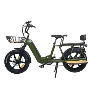 Queene/Nieuwe Ontwerp 20 Inch Full Suspension 48V500W 750W Uitvouwbare Elektrische Fiets Cargo E Bike