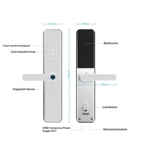 Serrure multifonctionnelle Wi-Fi en alliage d'aluminium style graffiti avec empreinte digitale, mot de passe et contrôle par application pour porte de sécurité et porte en acier
