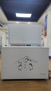 <span class=keywords><strong>Réfrigérateur</strong></span> congélateur solaire DC à double <span class=keywords><strong>porte</strong></span> de grande capacité 350L 12V 24V avec adaptateur - Product Image 4