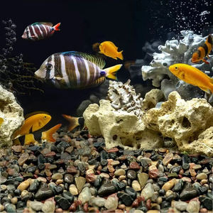 <span class=keywords><strong>Aquarium</strong></span> bodemdecoratie van steen, milieuvriendelijk regenwoudlandschap - Product Image 1