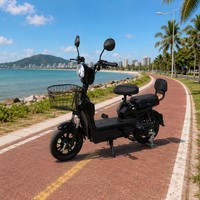 Bicicleta Eléctrica Urbana de 48V 500W para Adultos, Bicicleta de 14 Pulgadas con Doble Suspensión, Batería de Plomo-Ácido, 3 Velocidades