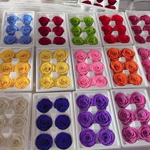 Cabezas de Rosa Natural Preservada de Alta Calidad, Grado A, Diámetro de 5~6 cm, Multicolor, para Decoración Navideña, Venta al por Mayor - Product Image 2