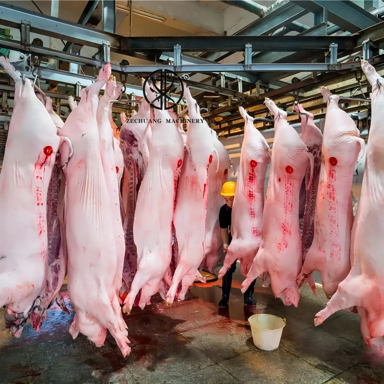 Domuz kesim ekipmanları Sow Abattoir kesimhane makine hattı ile soğuk oda et hızlı dondurulmuş parça sistemi