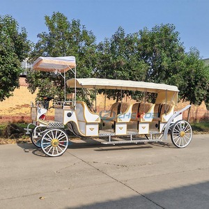 Calèche royale vintage électrique personnalisée à 4 roues avec rideau de pluie, blanche, pour visites touristiques - Product Image 2