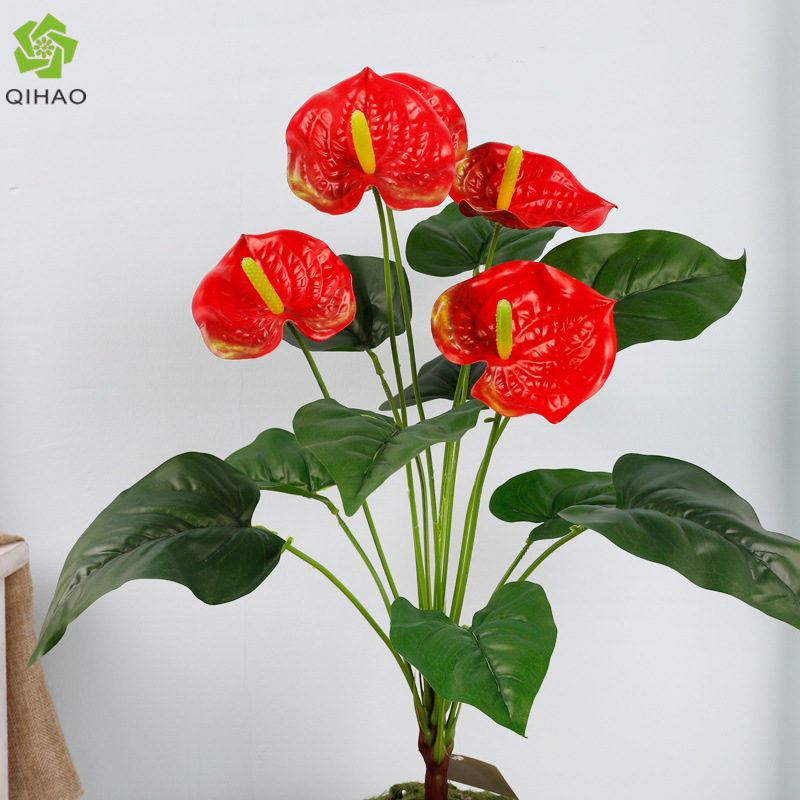 Anthurium rouge à 15 têtes [Grand Rouge]