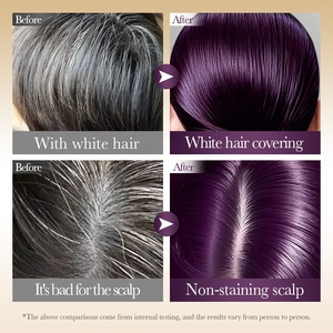 <span class=keywords><strong>Tinta</strong></span> <span class=keywords><strong>per</strong></span> <span class=keywords><strong>Capelli</strong></span> <span class=keywords><strong>Viola</strong></span> Pratica, Delicata, a Lunga Durata, Idratante, Non Irritante, Facile da Applicare - Product Image 3