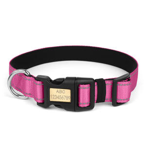 <span class=keywords><strong>Collar</strong></span> de mascota personalizado a la moda hebilla de Metal ajustable correas de nailon de <span class=keywords><strong>PVC</strong></span> <span class=keywords><strong>collar</strong></span> de perro de tela impermeable - Product Image 1