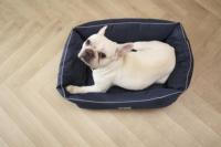 Lit de luxe pour chien, antistatique, amovible, lavable, respirant, coussin pour chat d'intérieur, facile à nettoyer, lit de repos pour animaux de compagnie