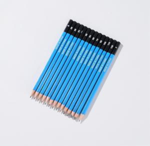 Ensemble de crayons à dessin professionnels en bois personnalisés de 40 pièces pour le croquis et la peinture - Product Image 1