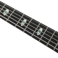 Guitare basse OEM DB5NA 5 cordes 24 frettes avec micros Soapbar, manche en érable, touche en palissandre, noir mat