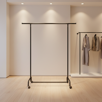 Porte-vêtements double barre réglable Deluxstar CR-25-06 en acier au carbone, design moderne, pour vêtements, chaussures, sacs, rangement, chambre à coucher
