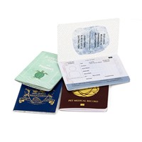 Passeport d'affaires pour animaux de compagnie de haute qualité, imprimé en couleur