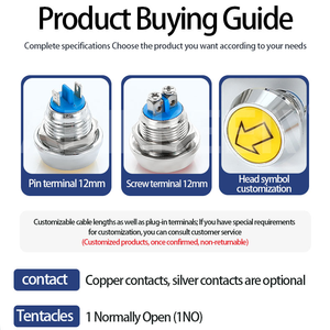 12mm Étanche IP65 Métal Momentané Réinitialisation Boule Sphérique Cercle Rond Tête Dôme Bouton Poussoir Avec Broche et Vis Bornes - Product Image 5