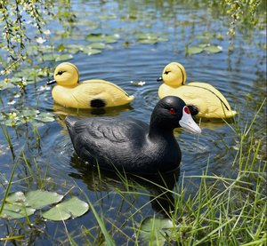Leurre de chasse au canard réaliste en EVA, flottant, en plastique, modèle d'oiseau aquatique pour usage extérieur en étang ou lac - Product Image 3