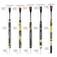 Pinceau professionnel 2-en-1 de luxe en poils de Kolinsky avec manche en acrylique, double embout, pour nail art et outil de peinture à points