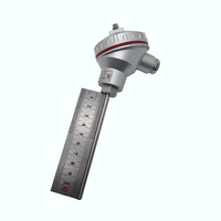 Capteur de température à sonde en acier inoxydable Pt 100 pour la mesure de la température de l'eau