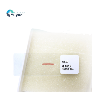 Sección de tenias parasitarias-portaobjetos de microscopio de enseñanza biológica - Product Image 1